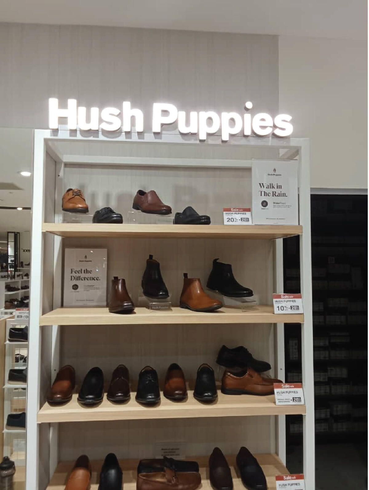 Puppies